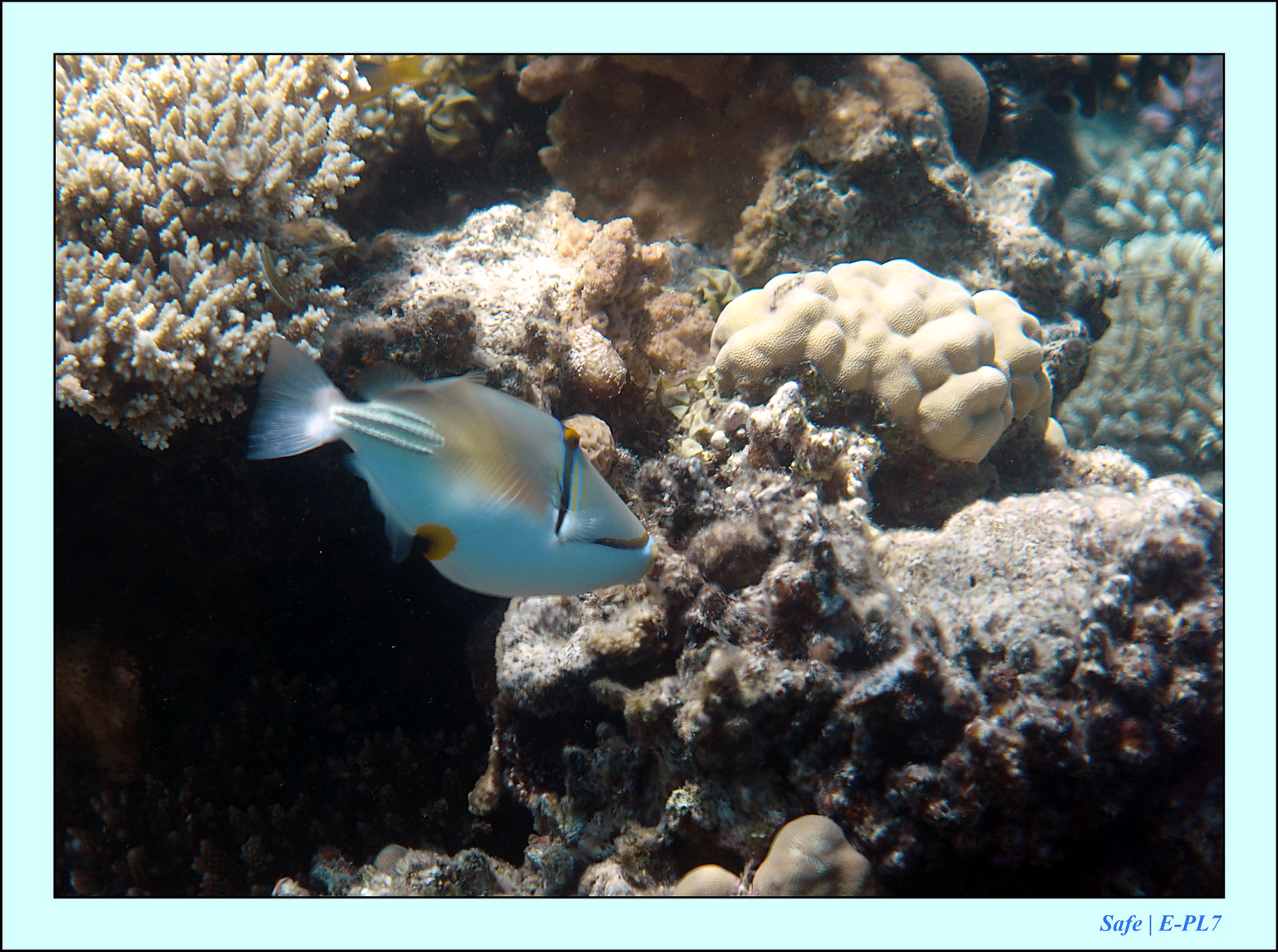 Hurghada - Juillet 2021 - 031